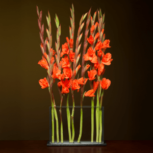 Horizontal H4 Vase