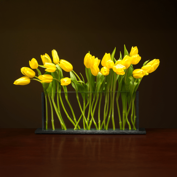Horizontal H5 Vase