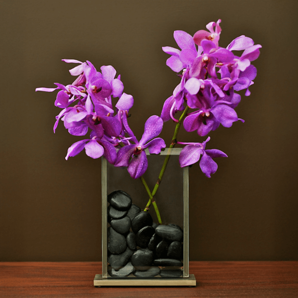 Vertical V2 Vase