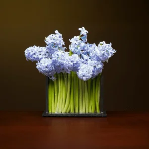 Horizontal H3 Vase